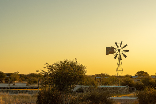 Windmill in Karoo with vegitation, mountain and sheeps in South Africa