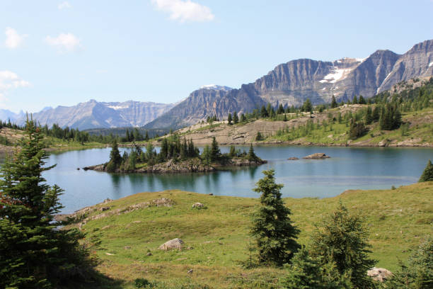 istock Lake with a small island in summer 1404515082