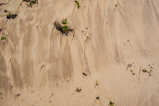 Idyllic sand dunes in Bornholm, Denmark on a day in summer