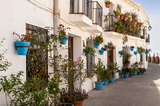 White painted houses with the famous blue flower pots against the wall, in the beautiful mountain village of Mijas in Andalusia; Costa del Sol.