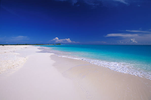 istock tropical white sand beach in Cuba 140451963