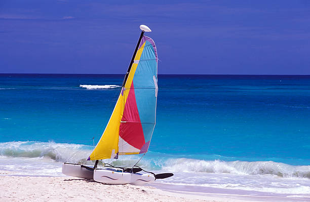 istock catamaran boat in a tropica beach 140451966