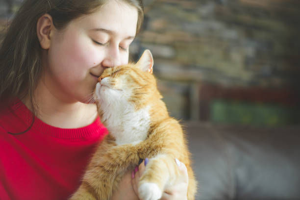 istock woman with british shorthair cat 1404521719