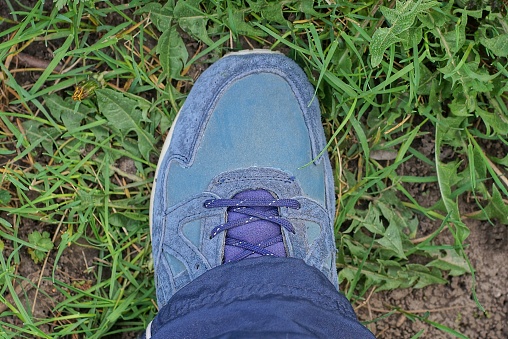 one blue sneaker made of leather and suede over green grass in nature