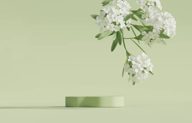3D display podium pastel green background. White flower with leaf. Nature Blossom minimal pedestal for beauty, cosmetic product presentation. Summer and spring Feminine copy space template 3d render