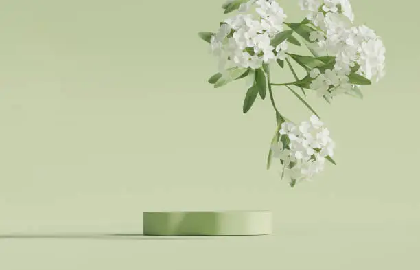 Photo of 3D display podium pastel green background. White flower with leaf. Nature Blossom minimal pedestal for beauty, cosmetic product presentation. Summer and spring Feminine copy space template 3d render