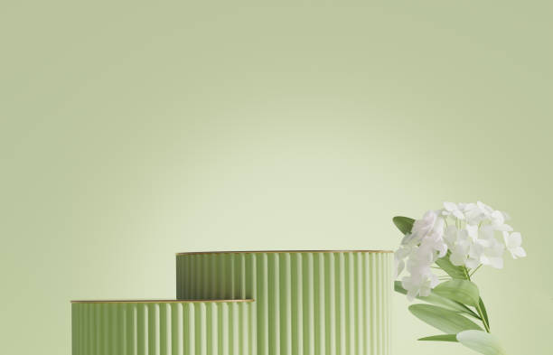 istock 3D display podium pastel green background. White flower with leaf. Nature minimal gold pedestal for beauty, cosmetic product presentation. Summer and spring Feminine copy space template 3d render 1404527802