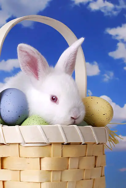 Cute Baby Easter Bunny Sitting in a Basket of Decorated Eggs