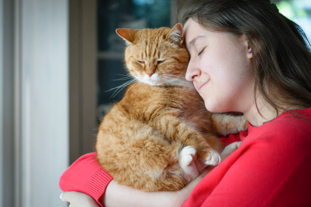istock woman with british shorthair cat 1404528232