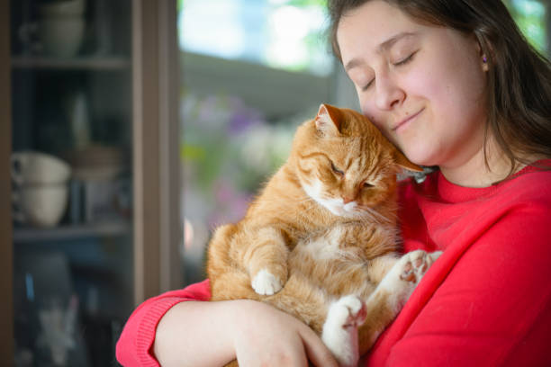 istock woman with british shorthair cat 1404528554