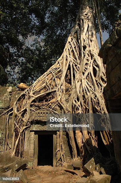 Ta Prohm Angkor - Fotografie stock e altre immagini di Abbandonato - Abbandonato, Albero, Amore