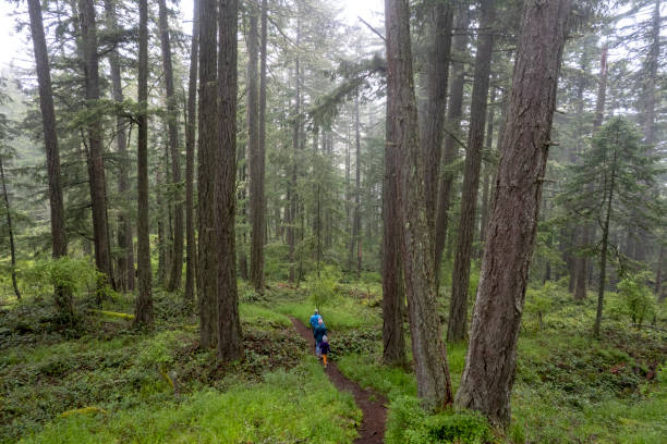 istock Family hiking in nature 1404535145