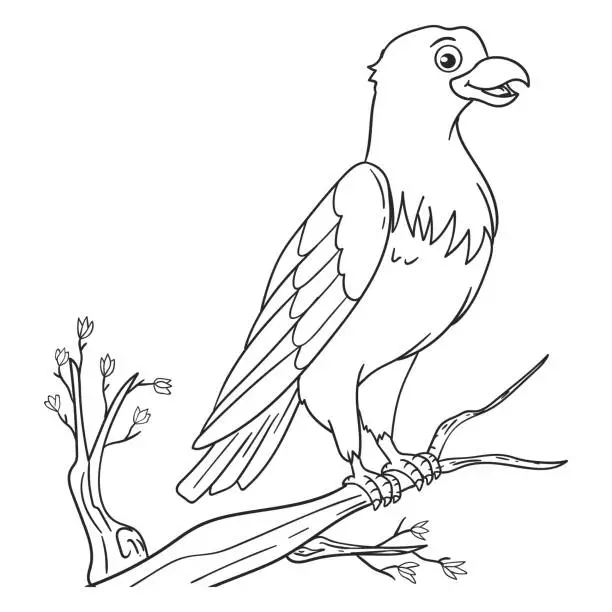 Vector illustration of coloring pages or books for kids. cute eagle cartoon illustration