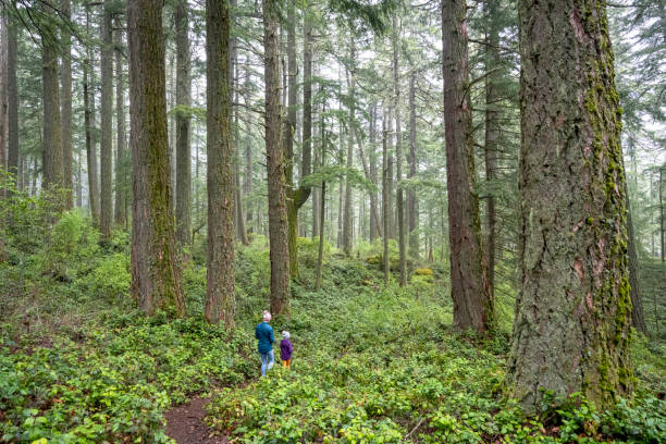 istock Mother and daughter exploring nature 1404535978
