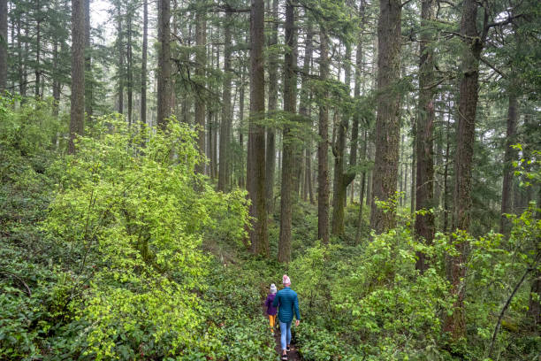 istock Mother and daughter exploring nature 1404535981