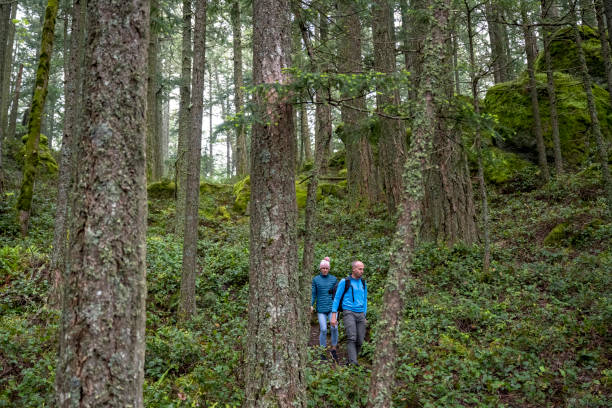 istock Couple hiking in a forest 1404536175