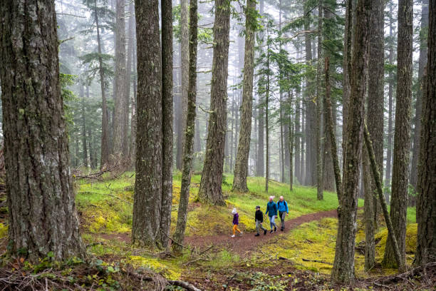 istock Family hiking in nature 1404536196