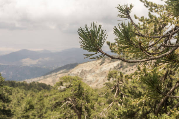 istock Scenic view with mountains and forest. Cyprus. landscape. 1404536464