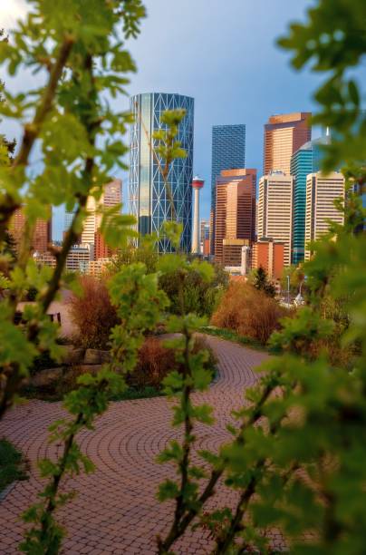 istock Calgary Skyline Framed By Lush Green Foliage 1404537770