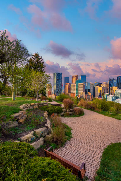istock Colourful Sunrise Over A Summer Park By Downtown Calgary 1404537798