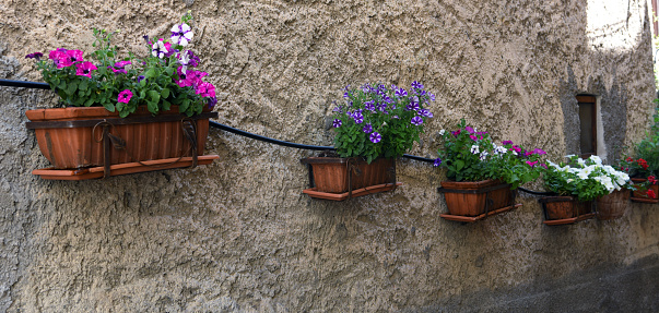 flowers in the historic center of Bagnoregio Viterbo Italy