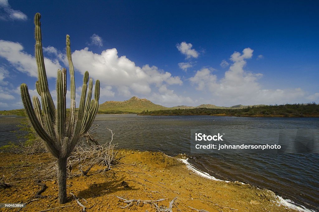 Desert scene Desert scne on ths island of bonaire Bonaire Stock Photo