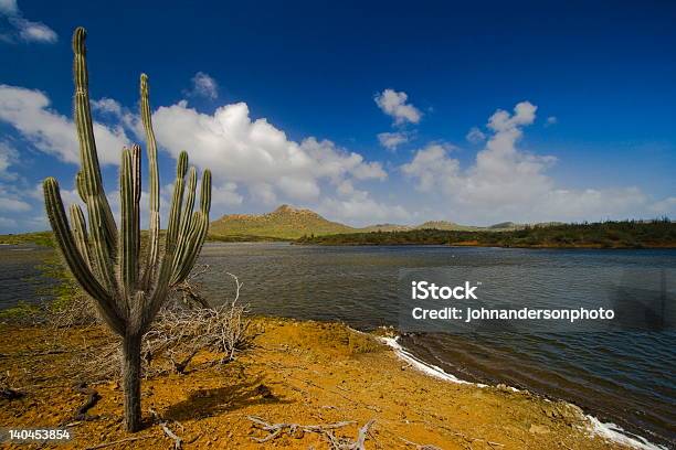 Desert Scene Stock Photo - Download Image Now - Bonaire, Cactus, Caribbean