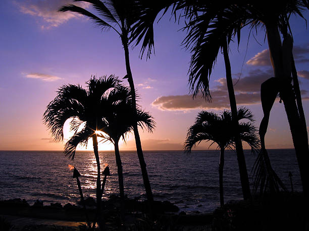 istock Hawaiian Tiki Torch Sunset, Maui 140453886