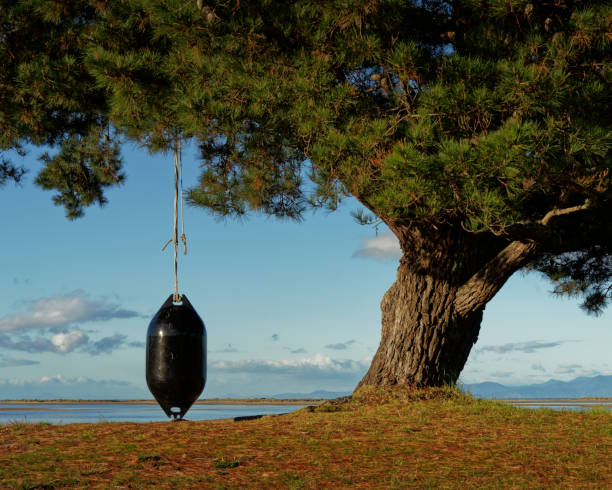 huśtawka wykonana z połowy boi farmy małży na wybrzeżu motueka, region tasman, aotearoa / nowa zelandia. - half way line zdjęcia i obrazy z banku zdjęć