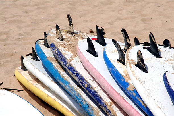 Surfboards stock photo