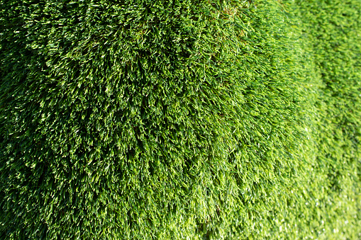 Green grass. Texture of artificial lawn. Details of park figure.