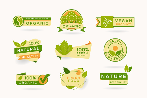 Fresh Green Leaves Collection of nature, organic labels and emblems in paper cut design.