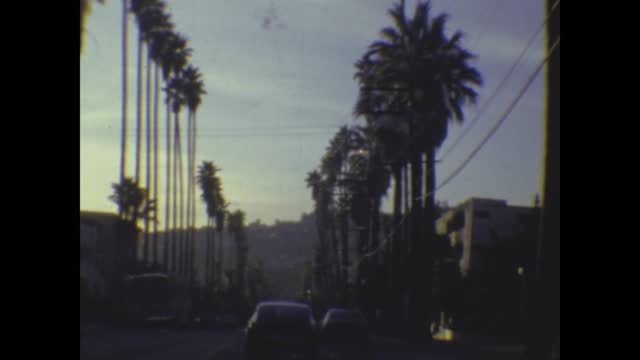 United States 1974, Los angeles palm street
