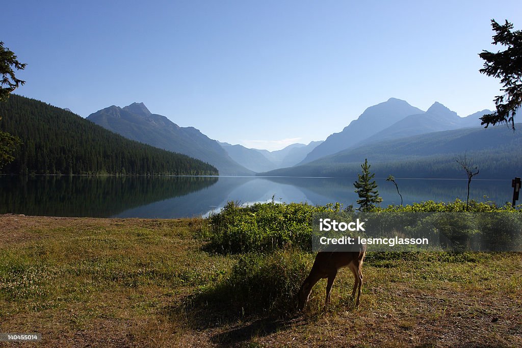 Mattina sul Lago Bowman 2 - Foto stock royalty-free di Ambientazione esterna