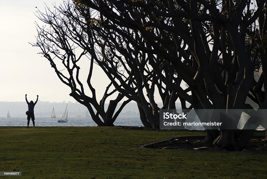 Vittoriosa uomo davanti gli alberi - Foto stock royalty-free di A mezz'aria