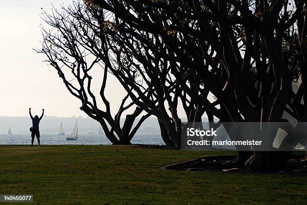 Vittoriosa Uomo Davanti Gli Alberi - Fotografie stock e altre immagini di A mezz'aria - A mezz'aria, Affari, Albero