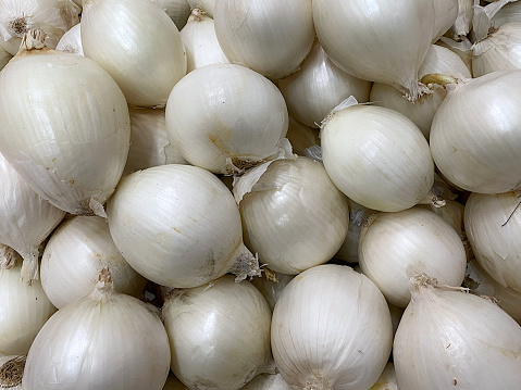 Photo of stronger and crispier white onion ideal for sauces