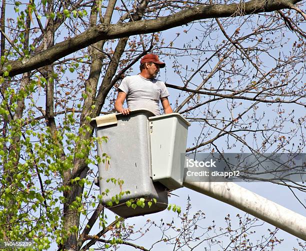 Mann In Einem Eimer Stockfoto und mehr Bilder von Arbeiten - Arbeiten, Arbeiter, Baum