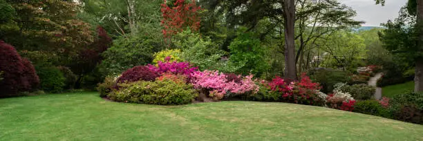 Photo of Garden with blooming trees during spring time