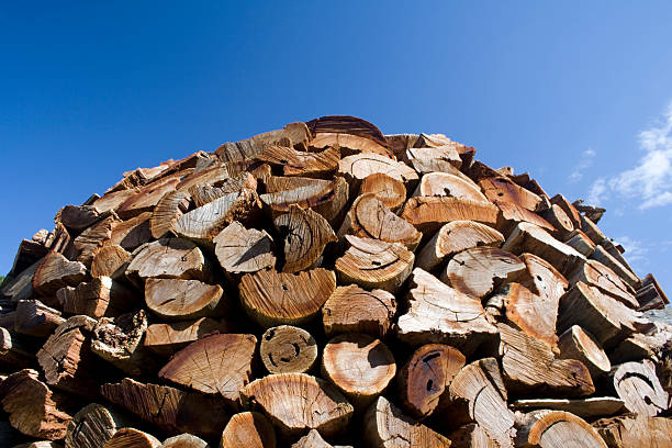 wood pile stock photo