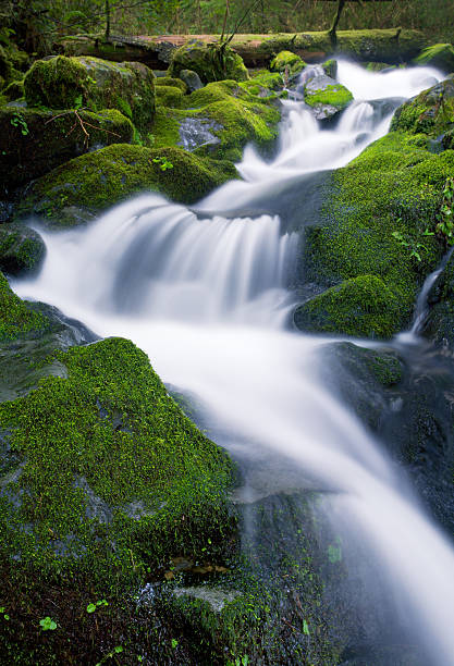 Waterfall, Olympic National Park, Washington State stock photo