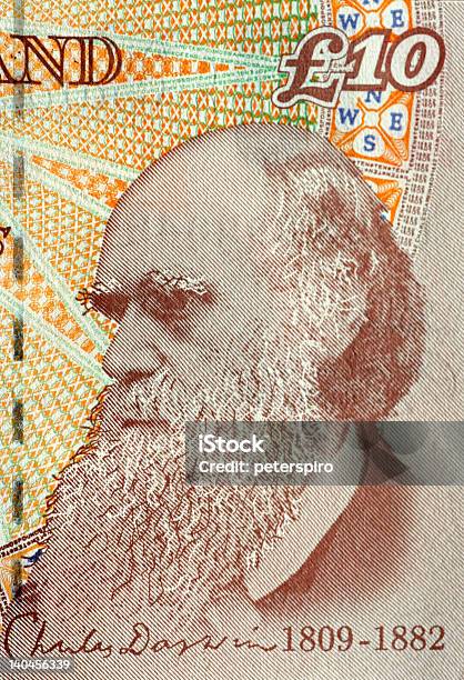 Charles Дарвин — стоковые фотографии и другие картинки Без людей - Без людей, Британская валюта, Бумажные деньги