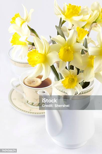 Té Fresco Yellow Daffodils Con Encapsulado En Blanco Foto de stock y más banco de imágenes de Aceite de infusión