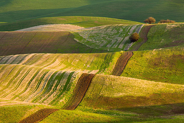 Palouse Hills from Steptoe Butte National Monument stock photo