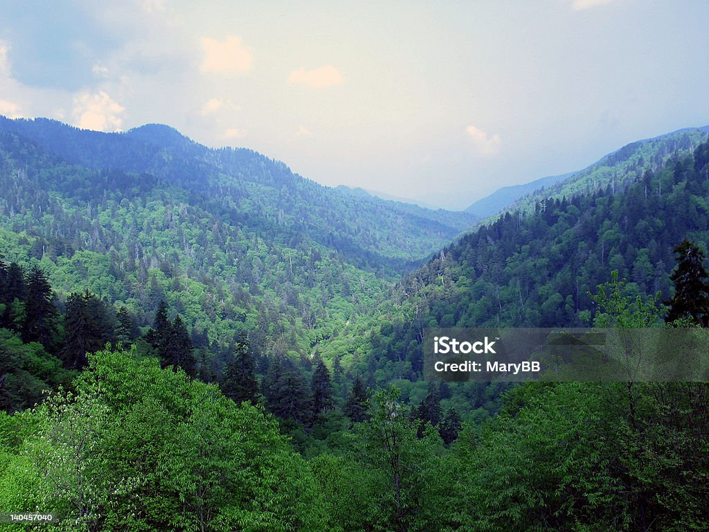 Skyline di montagna - Foto stock royalty-free di Albero