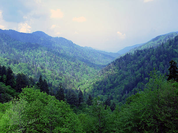 Z widokiem na panoramę gór – zdjęcie