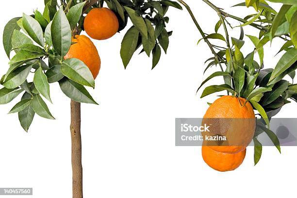 Photo libre de droit de Big Orange Arbre Isolé 3d Style banque d'images et plus d'images libres de droit de Oranger - Oranger, Acide ascorbique, Agriculture