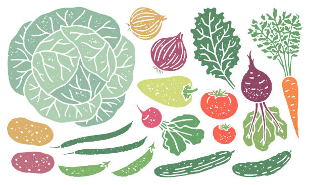 ilustrações, clipart, desenhos animados e ícones de conjunto de legumes e frutas locais com textura granulada - heirloom tomato illustrations