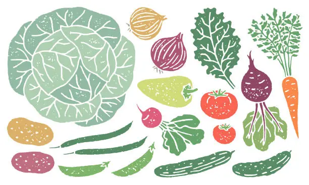 Vector illustration of Set of local vegetables and fruits with grainy texture