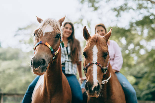 mutter und tochter zu pferd - horse beauty beauty in nature women stock-fotos und bilder